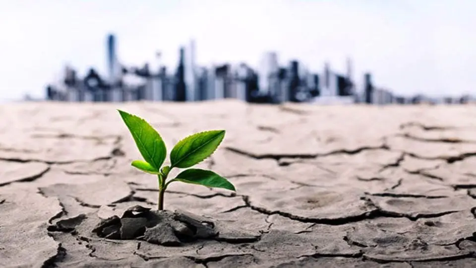 از توقف آبیاری در برخی شهرستان‌های آذربایجان‌غربی تا آموزش دانش‌آموزان برای نجات آب