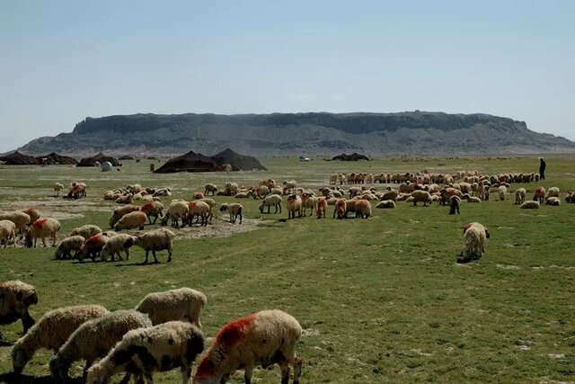 بهسازی ۳۷۰ کیلومتر ایلراه عشایر خوی بهسازی ۳۷۰ کیلومتر ایلراه عشایر خوی