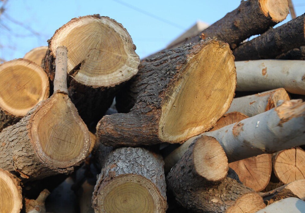 قاچاق ۸ تُن چوب در مهاباد ناکام ماند