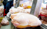 راه‌های کاهش قیمت مرغ در آذربایجان غربی بررسی شد