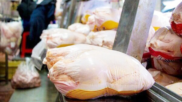 راه‌های کاهش قیمت مرغ در آذربایجان غربی بررسی شد