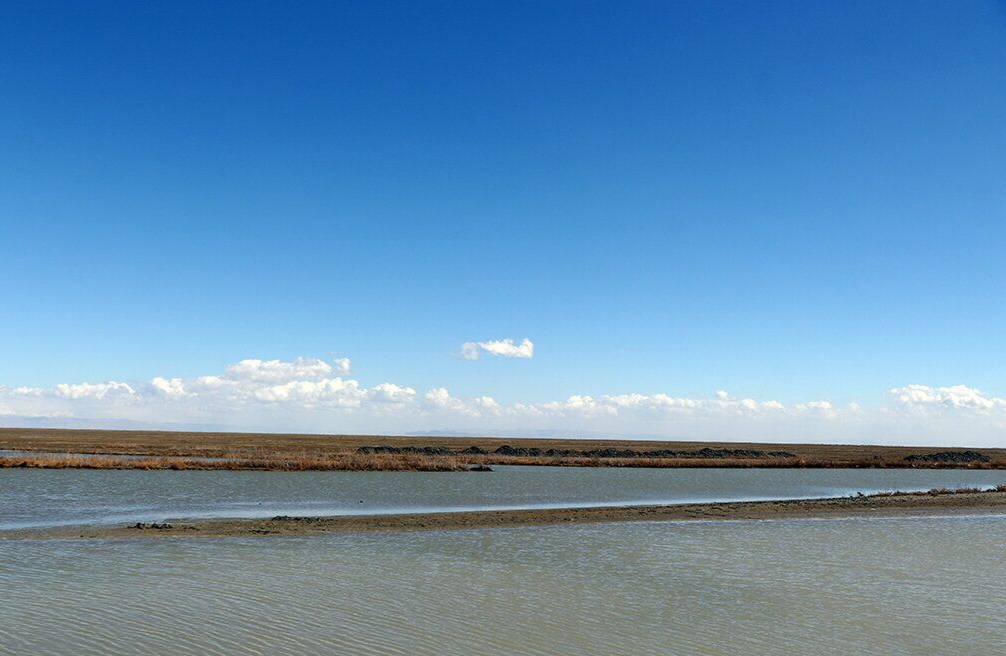 جرم‌انگاری توسعه بی‌رویه کشاورزی؛ راهکار احیای دریاچه ارومیه