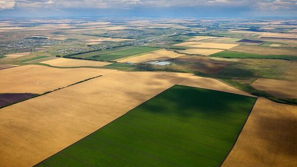 ۵ هکتار از اراضی ملی اشنویه رفع تصرف شد