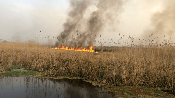 آتش‌سوزی پارک ملی دریاچه ارومیه مهار شد