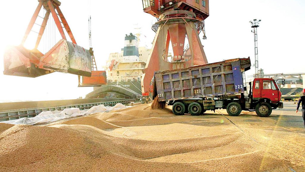 هیچ نهاده دامی در گمرکات آذربایجان غربی باقی نمانده است