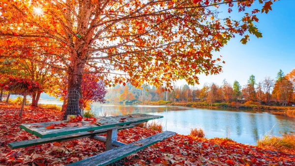 هوای آرام و بدون بارش در آذربایجان غربی حاکم است