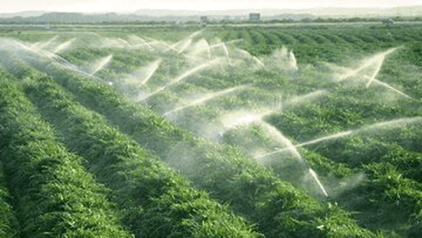 ۲۵۰۰ میلیارد تومان در شبکه‌های نوین آبیاری سرمایه‌گذاری شد