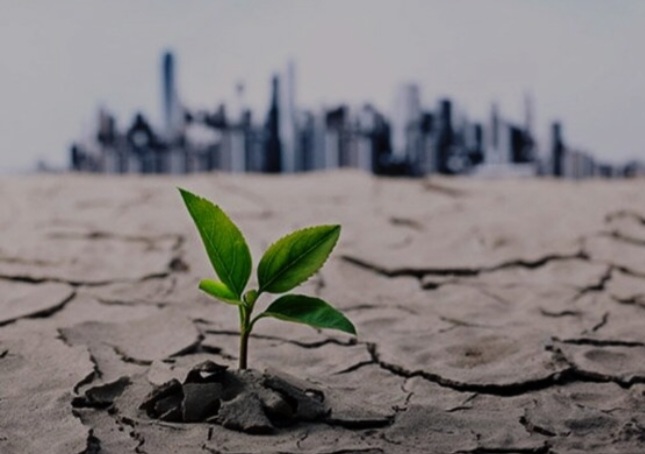 دکتر رحیمی: نجات آب ایران در گرو تحول کشاورزی و همکاری دولت و ملت