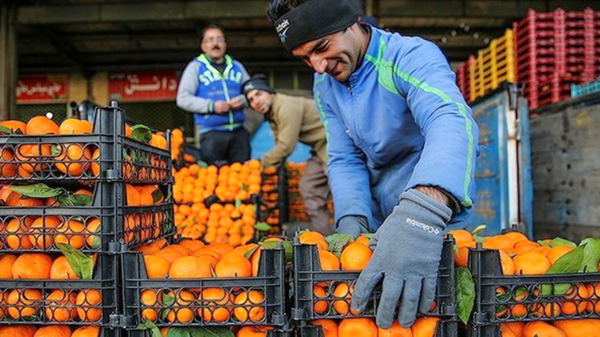 میوه شب عید آذربایجان‌غربی آماده است